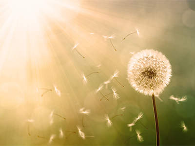 Kirchengemeinde Maria Magdalenen Klein Borstel